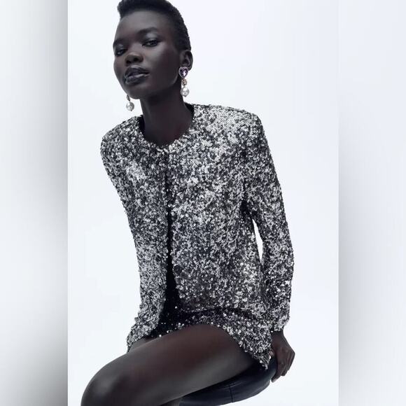 Zara Silver Sequin Blazer Size Small - Picture 1 of 11